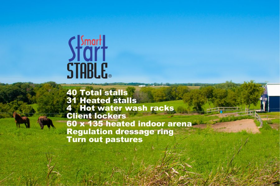 Horse Boarding Horse training, Dressage, Horse Trainers