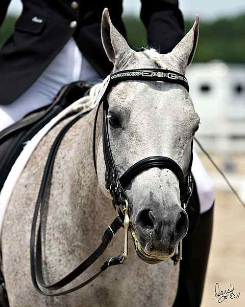 Safarr after a test, satisfied he did his best 