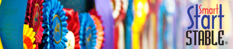 Horse boarding, horse training, Dressage,