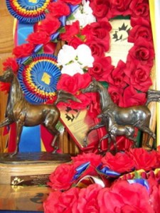 26916_380456259860_8198711_n