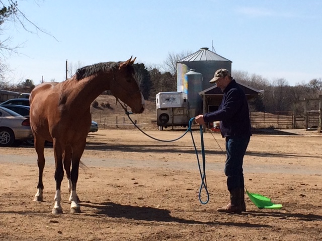 Flagging involves both desensitization and sensitization
